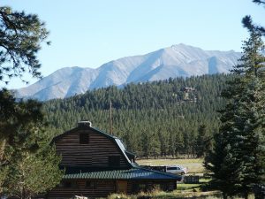 Lone Tree Window Tinting Colorado